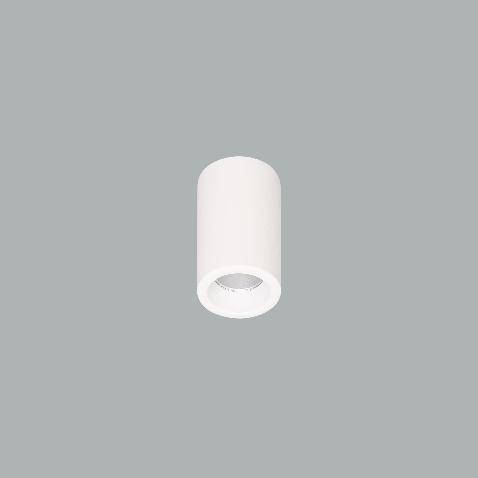Cub Micro Surface.jpg