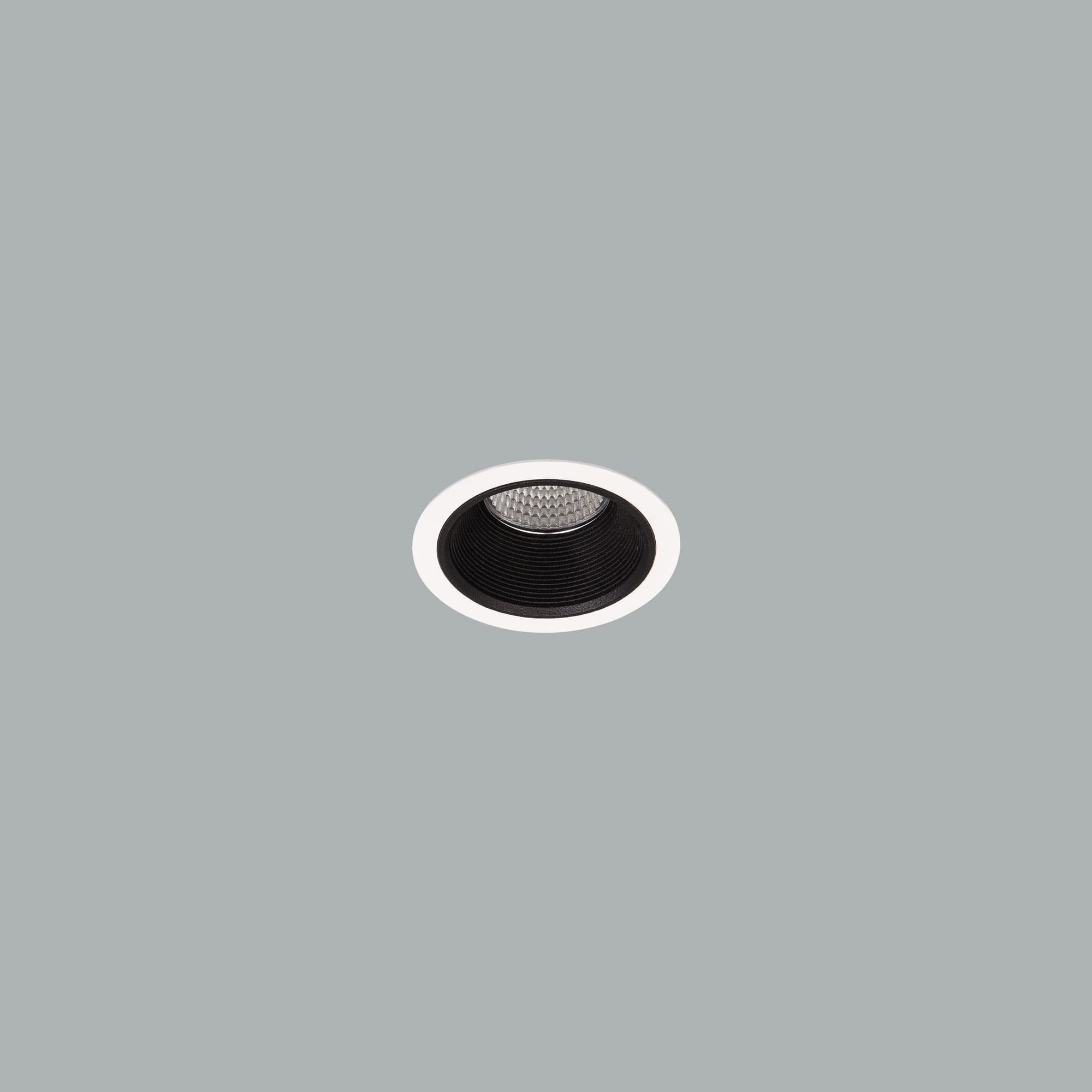 Darklight