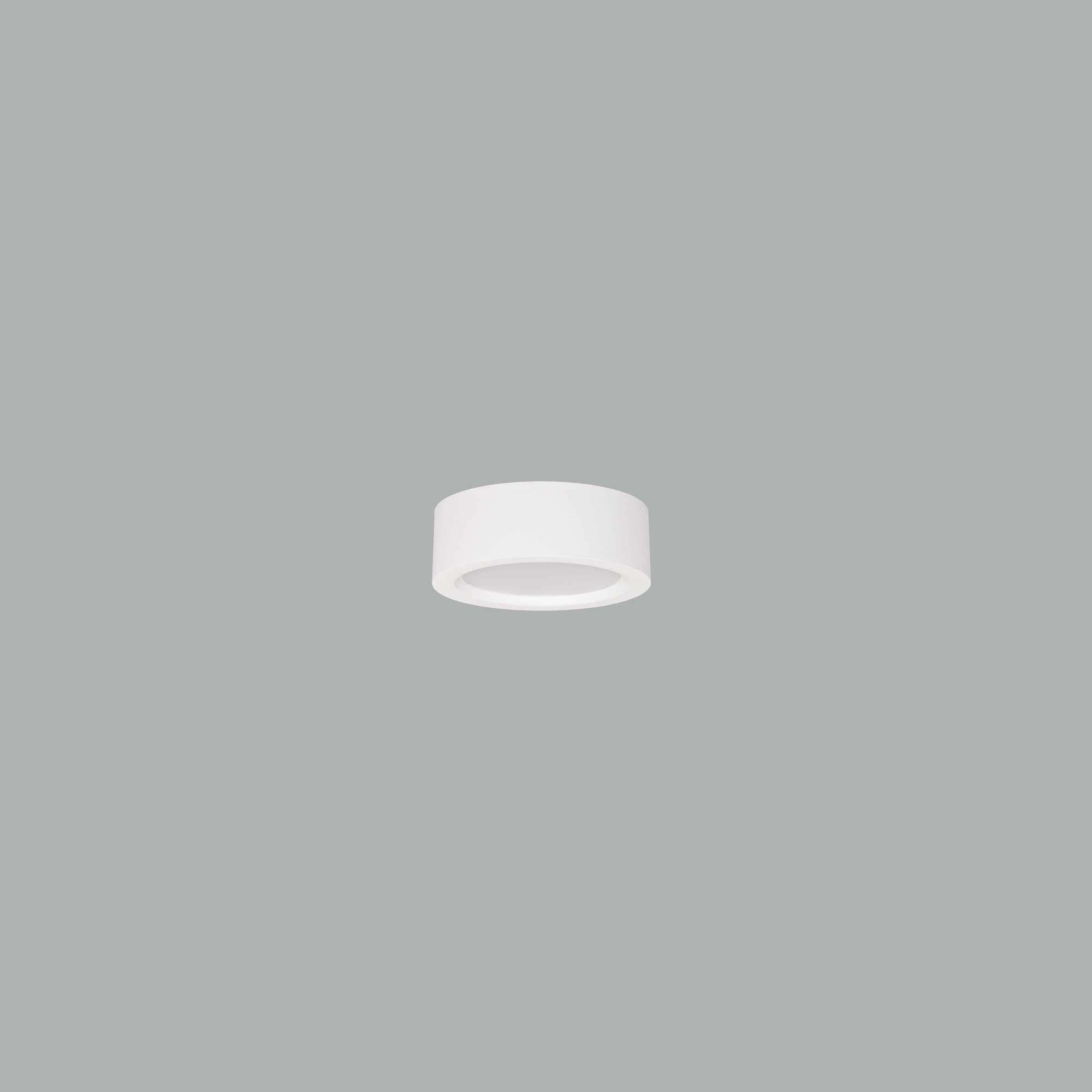 Neptun Mini Surface.jpg