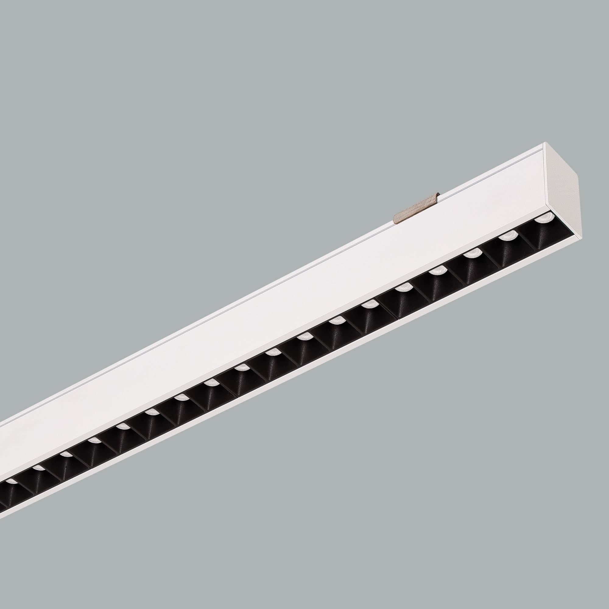 Pars Line Surface
