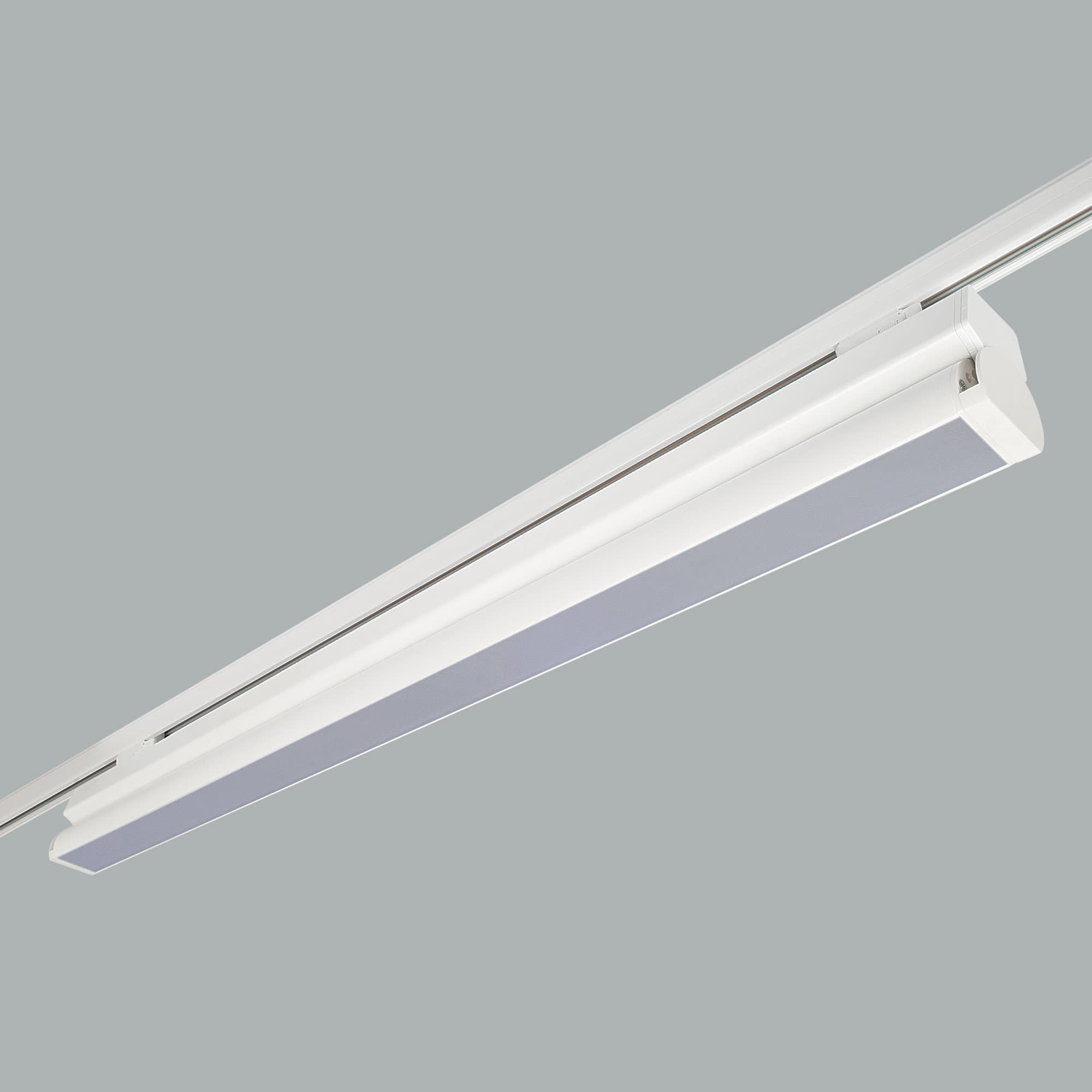 Rood Track Mounted.jpg