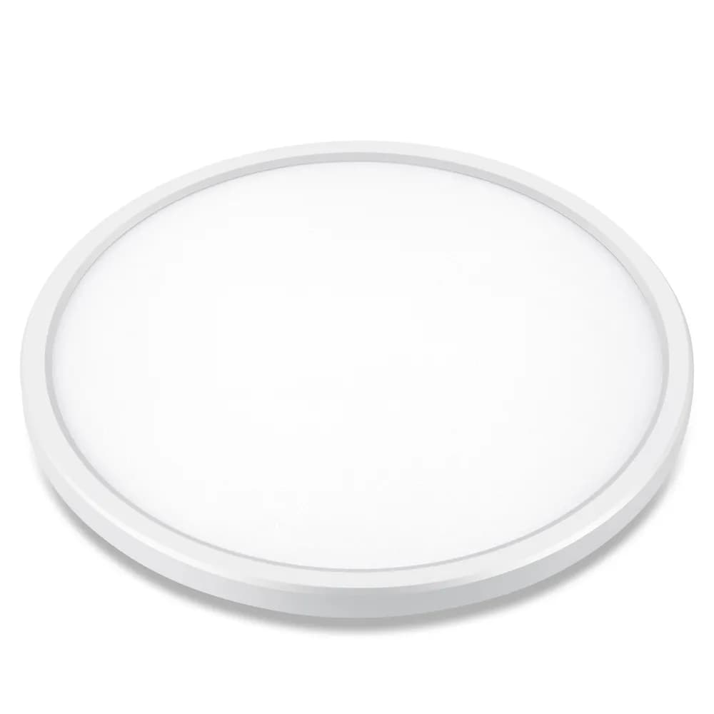 Discus