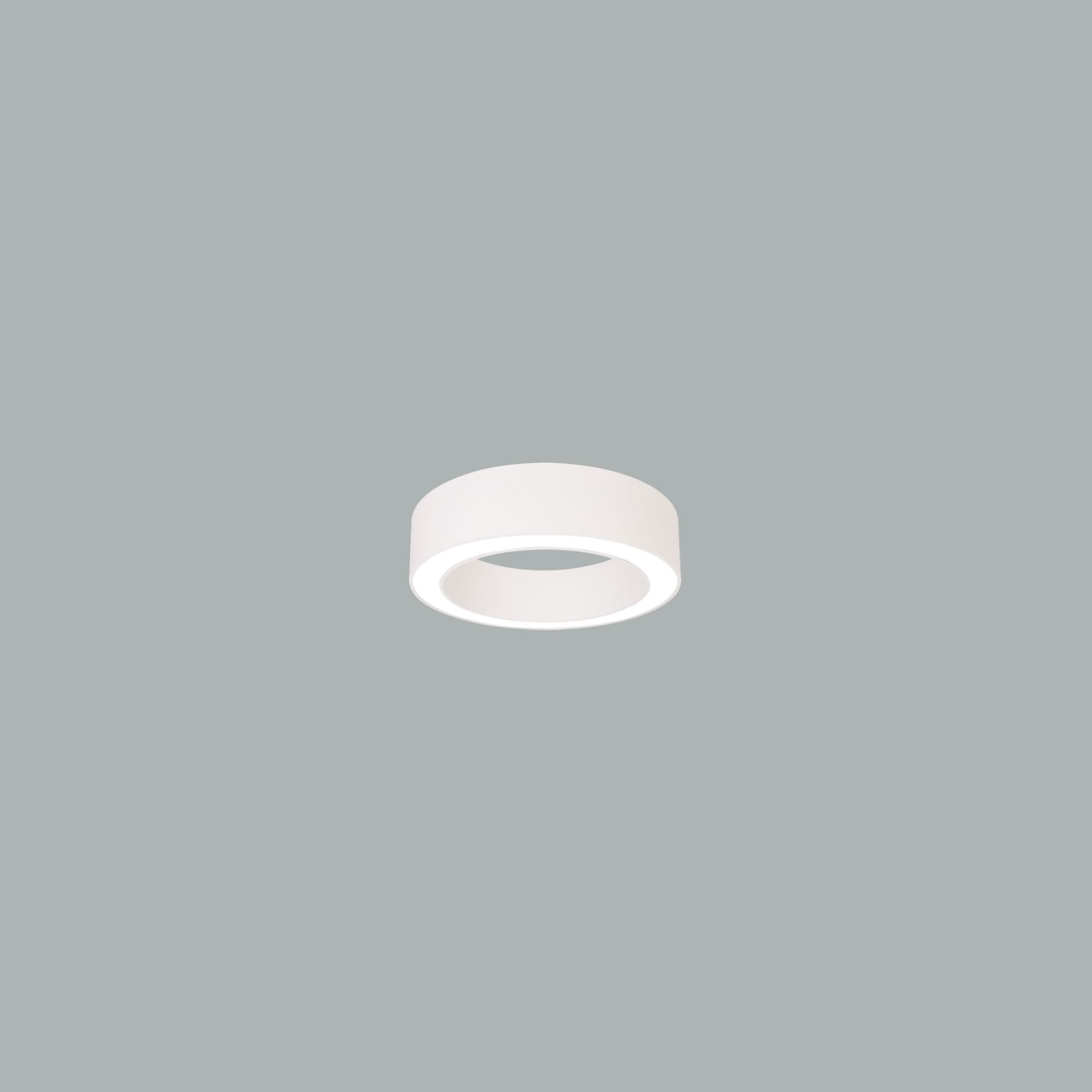 Sivo Ring 45 D.jpg