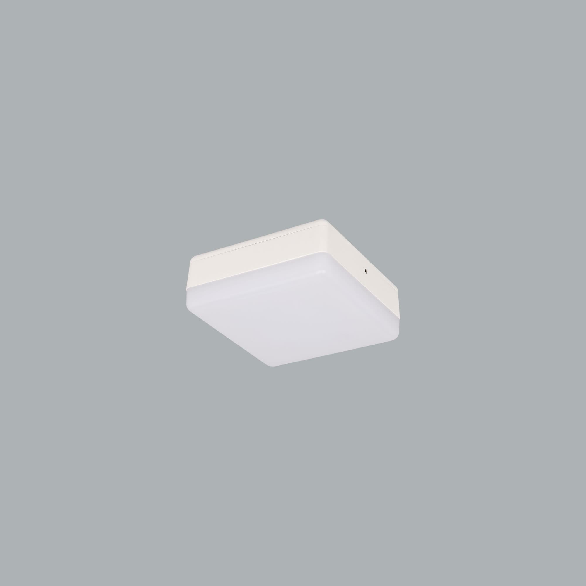 main_696a525c12e4f.jpg