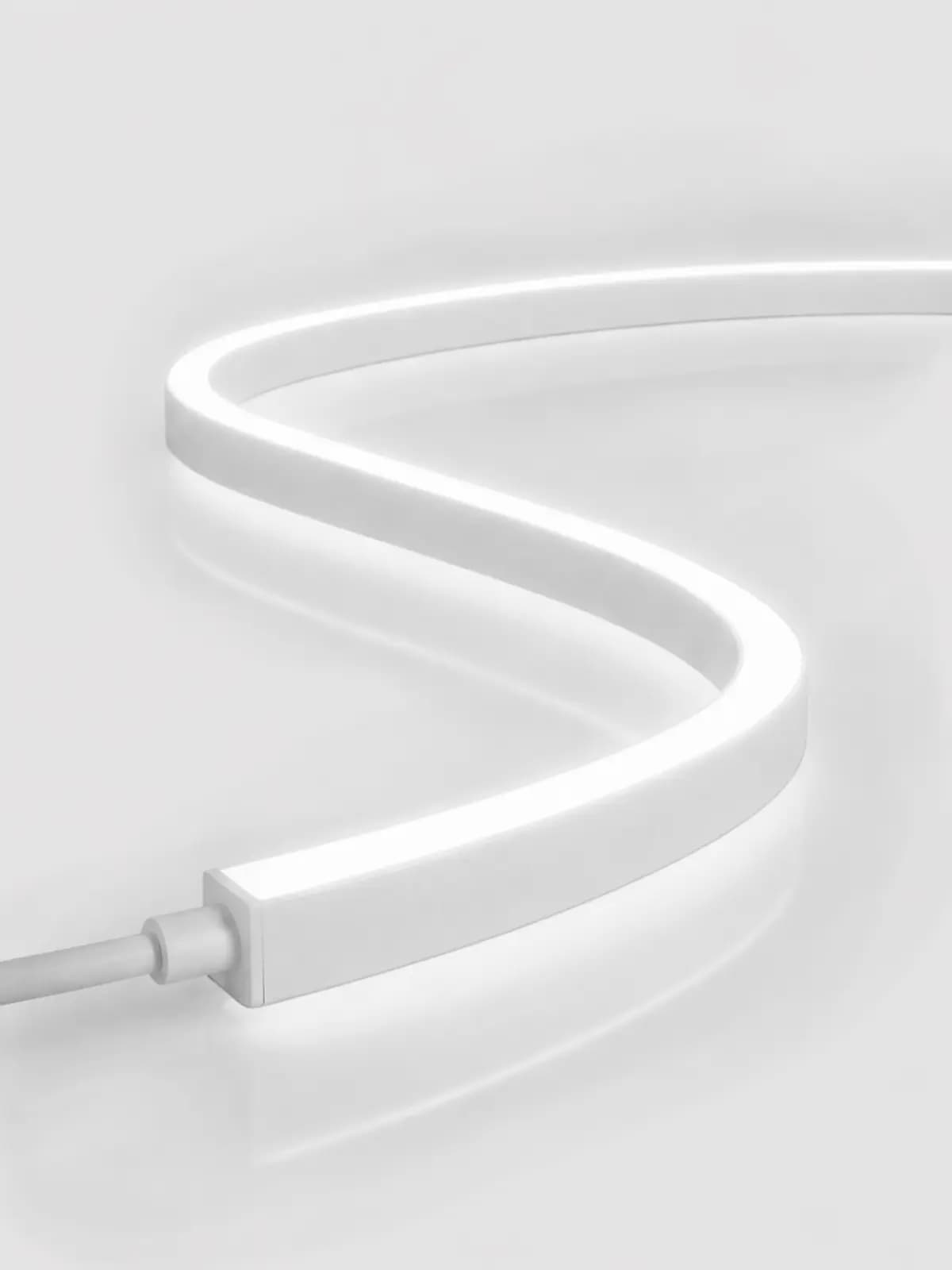 Neon Dual 1615 SV 10W_m IP67.webp
